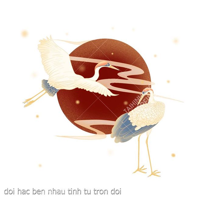 doi hac ben nhau tinh tu tron doi